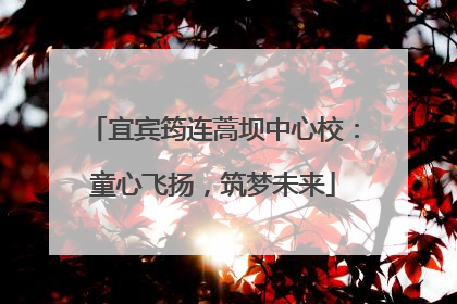 宜宾筠连蒿坝中心校：童心飞扬，筑梦未来
